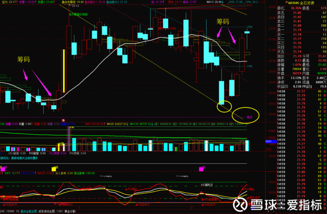 爱指标: 603505金石资源 筹码支撑和划线趋势