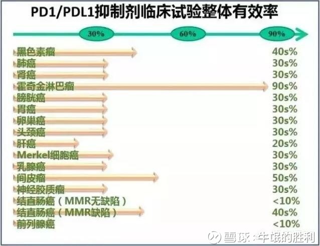 202O年1一9月份泗阳经济总量_泗阳经济开发区徐梓艺(2)