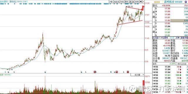 3只造纸行业的龙头股,未来可能翻倍,股民必须