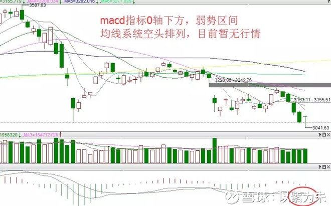 以紫为朱: 芯片替代可能会持续 @今日话题 $上