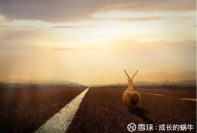 成长的蜗牛: 陕鼓动力2017年年度报告分析 如果