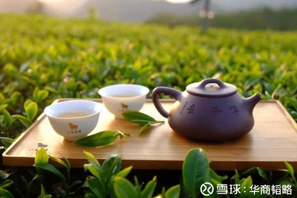 华商韬略: 中印领导人会晤为什么要喝茶? 文 \/