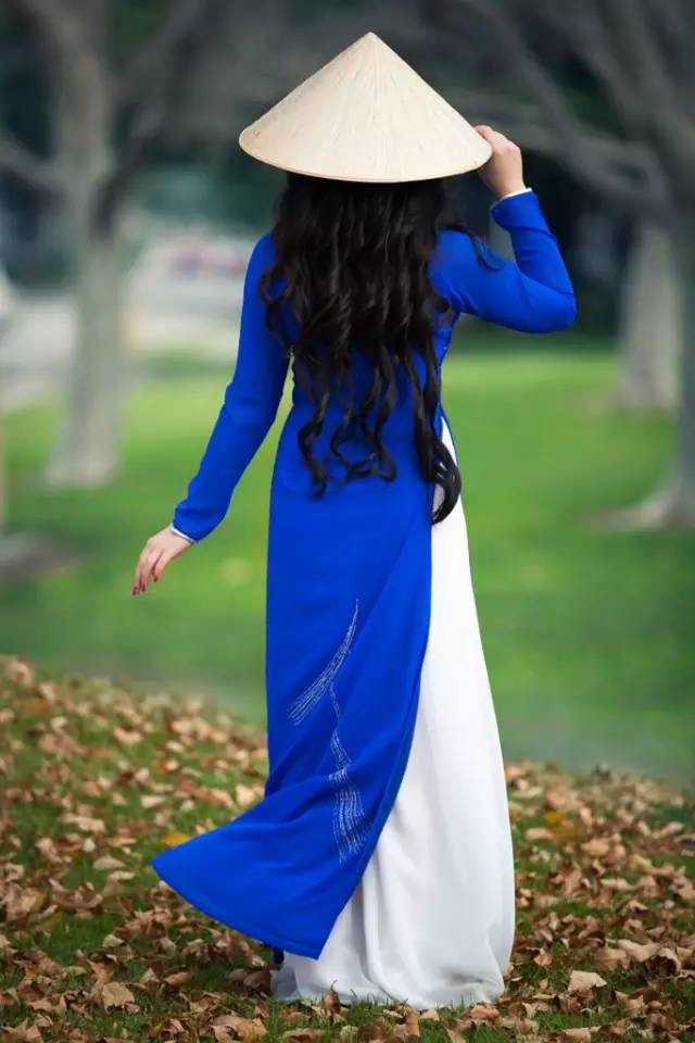 去了帕劳才知道,海底风光无限好,可以和无毒水母泡一泡.