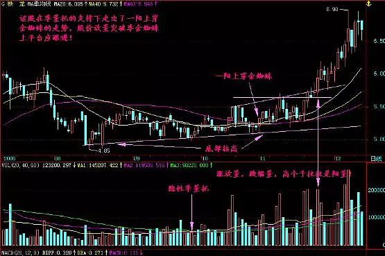 炒股順口溜金蜘蛛買入死蜘蛛賣出句句都是大實話