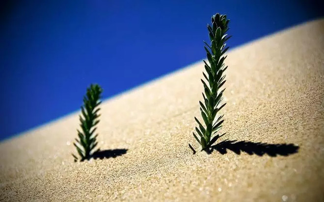 盛东辉-dhui8008: 你怎样生活,就会怎样去投资!