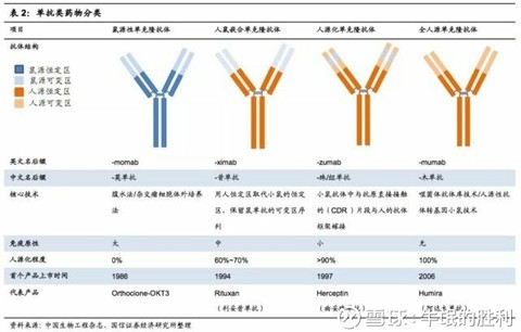 抗体药物研发
