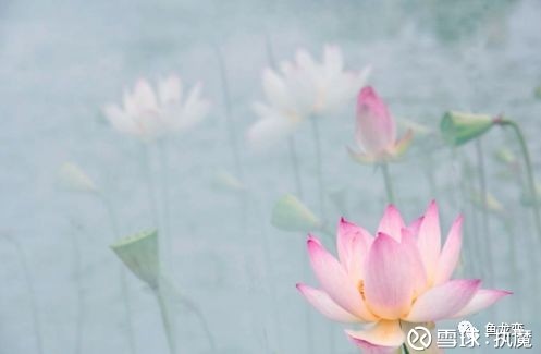 执魔: 雾里看花 雾里看花 水中望月 你能分辨这