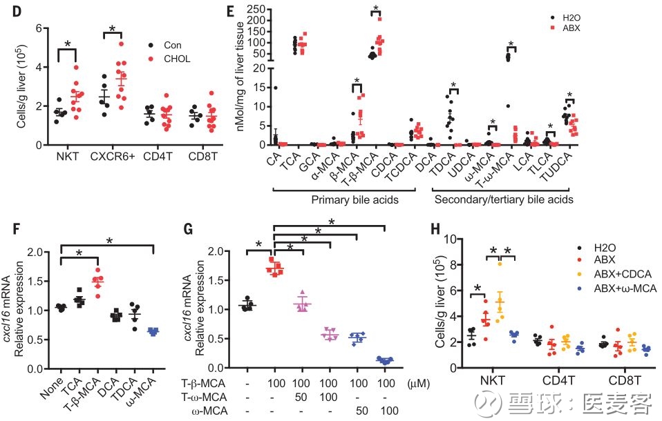 Science首次发文:特殊肠道菌影响肝脏中免疫细