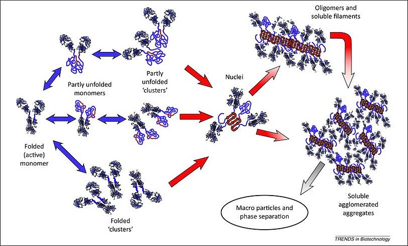 除此之外,还有一些其他的生物共轭策略,以提高整体的mab治疗指数,每一