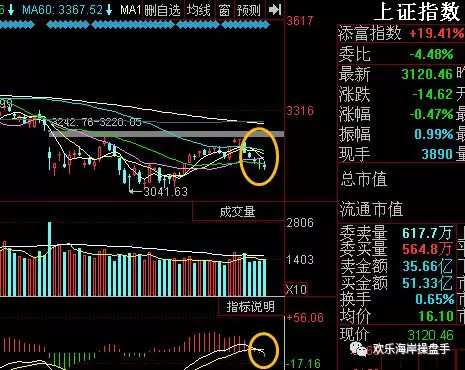 欢乐海岸操盘手: 护盘护出屎,药明康德买不买?