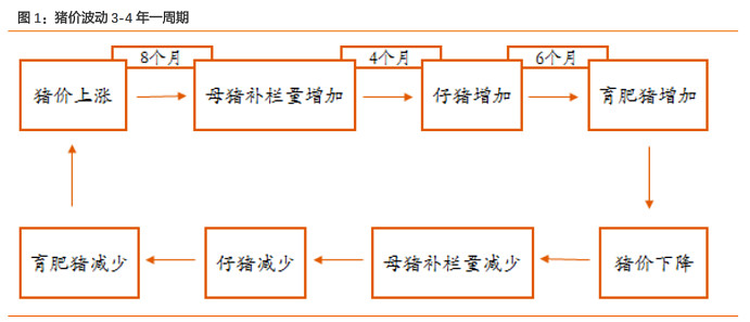 猪周期来了吗？ 首先，我们得先知道什么是猪周期？一