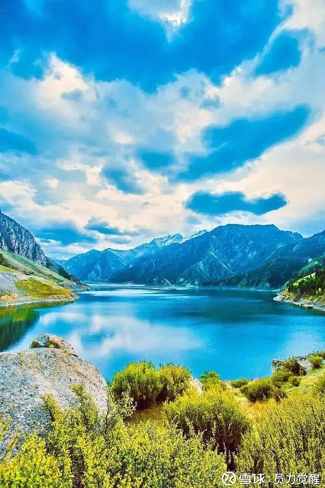 $腾讯控股(00700)$$药明康德(sh603259)$$宁德时代(sz300750)$