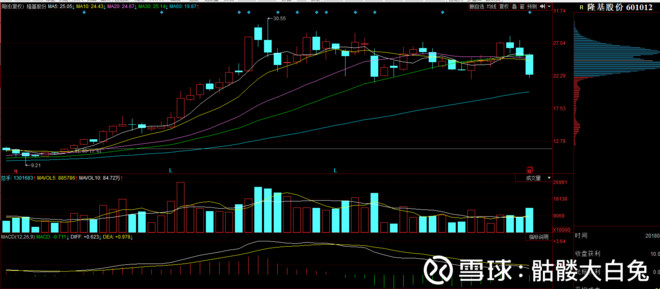 骷髅大白兔: 隆基今天大跌因为这个? 今天出台