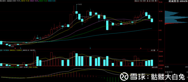 骷髅大白兔: 隆基今天大跌因为这个? 今天出台