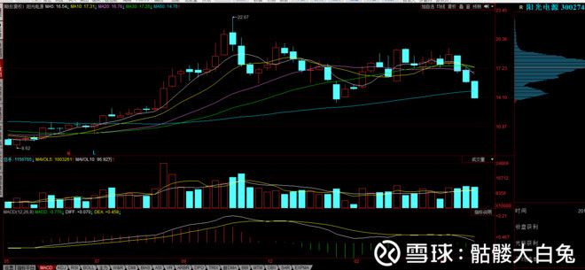骷髅大白兔: 隆基今天大跌因为这个? 今天出台