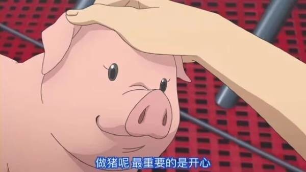 狮峰紫玉: 狮评:猪。 过去十年国际油价腰斩、国