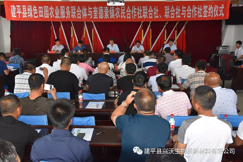 建平县绿色田园农业服务联合体签约仪式胜利召开
