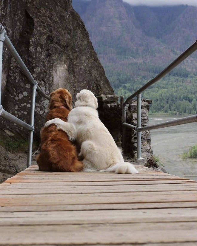 柏拉图111: 真的不容易 也算个应试作文吧,好久