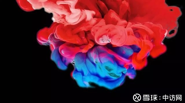 浙江龙盛负债290亿 刚性债务大幅攀升