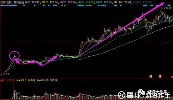 身 新龙头现身 股神名言:我只跟市场走,不预测,