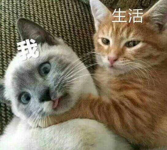 券商ETF: #闲聊#说说股市带给你的最大的得与