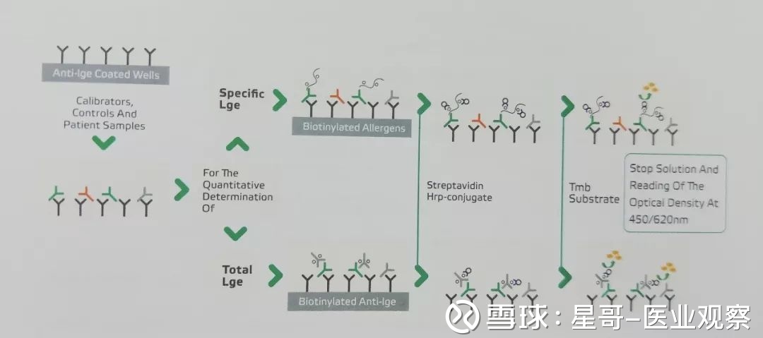 星哥-医业观察: 205期:聊聊过敏原检测 过敏原与