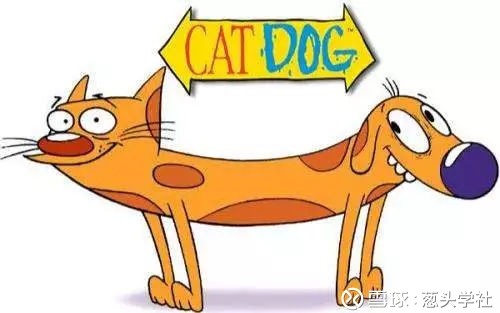 葱头学社: 米粉说:我们不买小米股票。 小米招