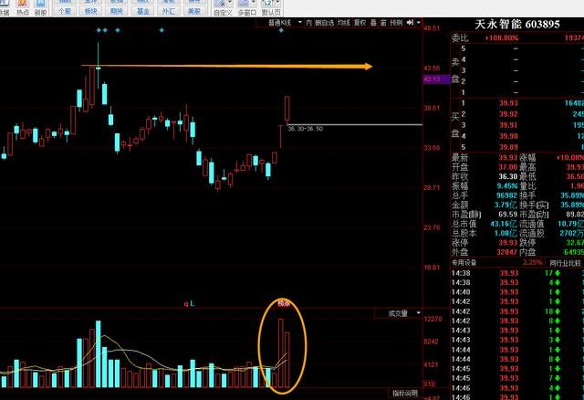 雷布斯小米香港上市破发,董小姐举牌海立股份