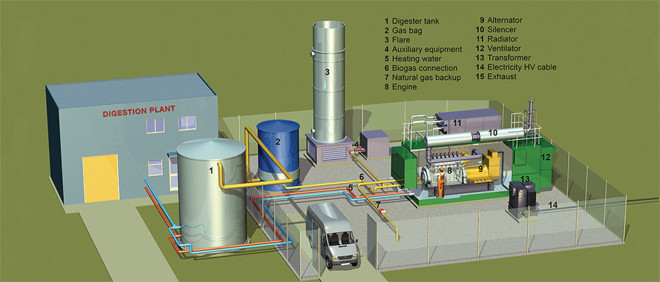 江南大学科研团队构建“超级细胞工厂”