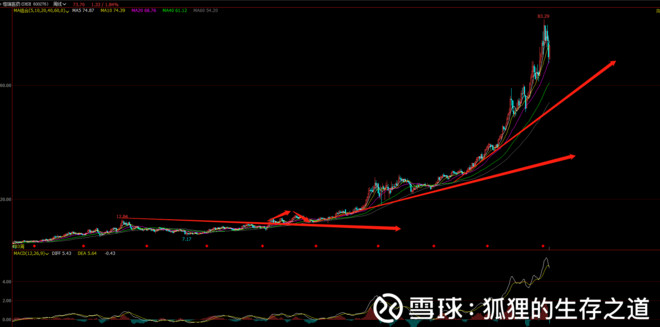 狐狸的生存之道: 价值投资第二讲之案例分析恒