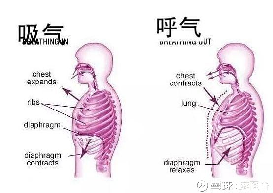位置和分部