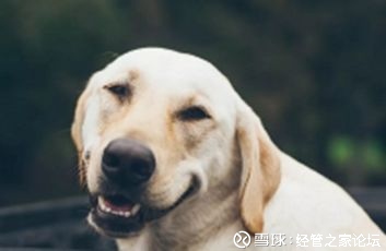 经管之家论坛: 使用Python快速入门数据科学 今