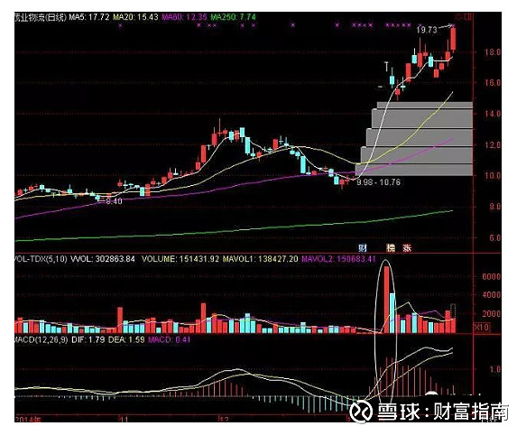 一位顶级游资大佬豪言 量柱是庄家的标志 散户轻松跟庄 吃肉 量柱的三先律第一规律 卖在买先 卖买平衡律