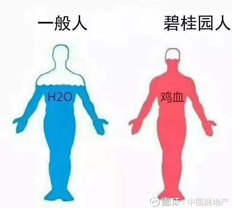 职场为什么碧桂园人总是鸡血满满的样子