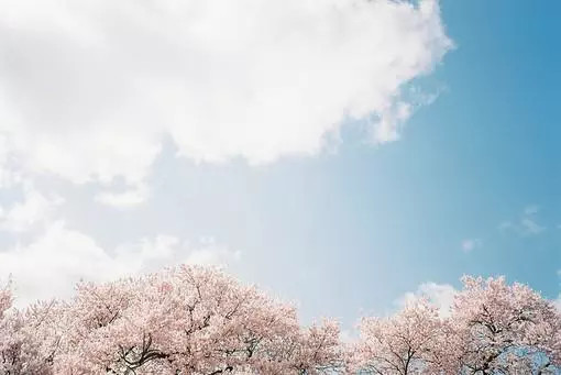 如何写好你研究生涯的第一篇小论文?(科研小白