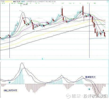 顶级游资大佬曝光:庄家不敢让散户买入的股票