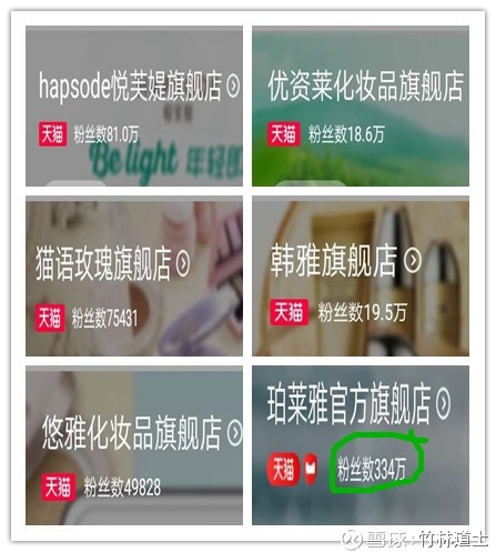 logo是什么意思_主营收入是什么意思