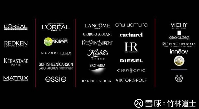 logo是什么意思_主营收入是什么意思