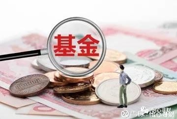 怡心寻财: 纯债基金,抵御风险的利器 买基金时有