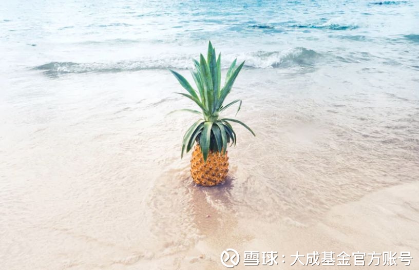 大成基金官方账号: @你,浪漫七夕红包请查收 特