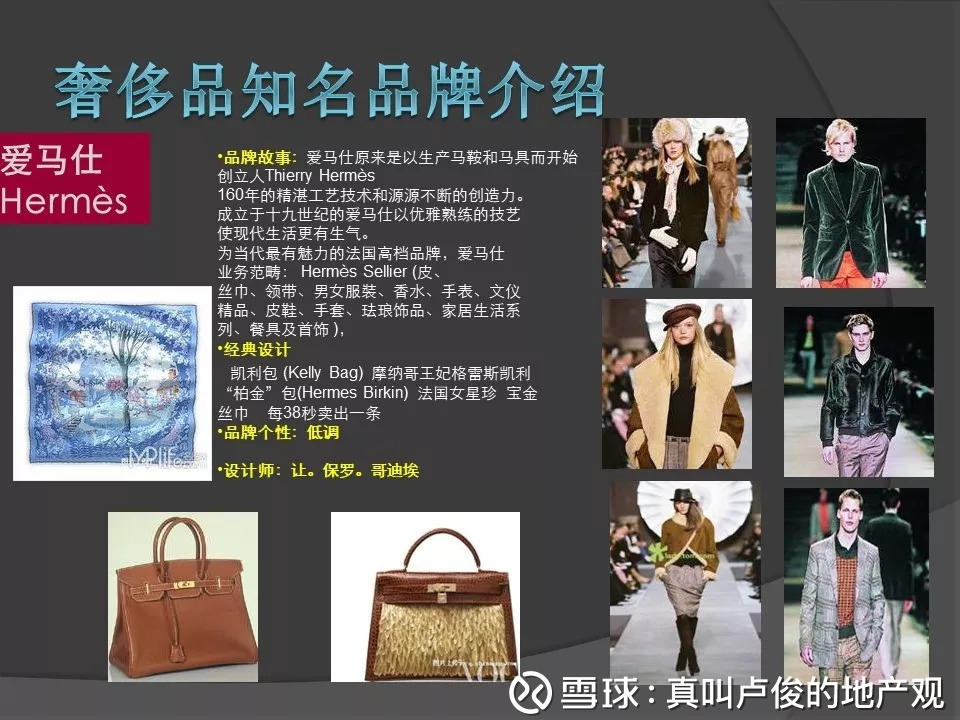 真叫卢俊的地产观: 豪宅置业顾问入门知识 之前