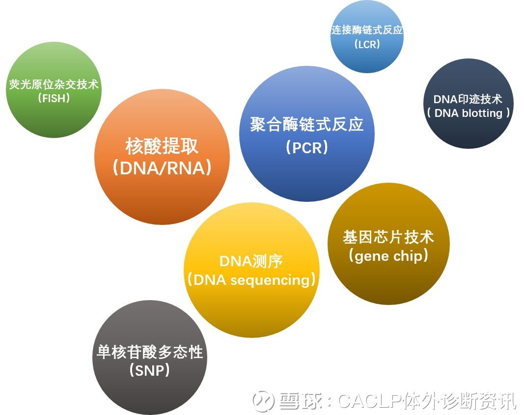肿瘤基因检测：解锁疾病的钥匙