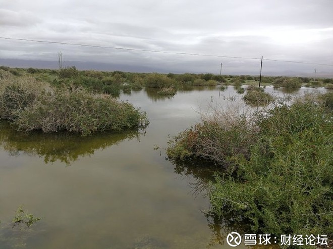 财经论坛: 银行大额存单安全吗? 资产管理新规