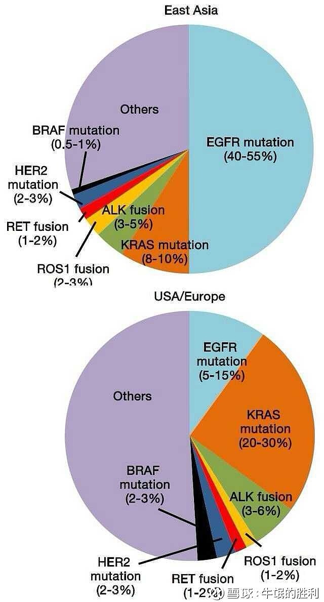 《nature reviews clinical oncology》,研究人员总结了egfr突变和alk