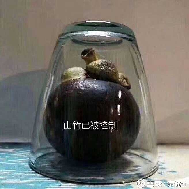 朋友们别怕,山竹已经被我控制了.