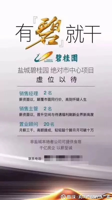 真叫卢俊的地产观: 碧桂园生存启示录 很显然,从