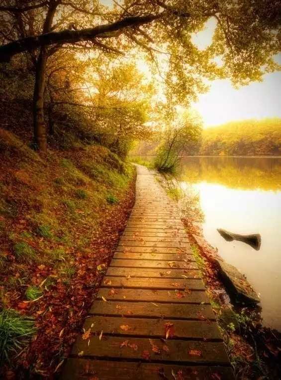 我是正常的人,我也会4000点追高,2600空仓.