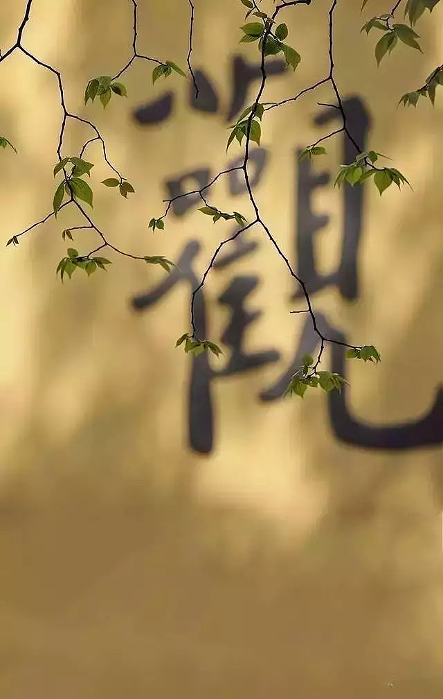 人生的最高境界,就一个字!