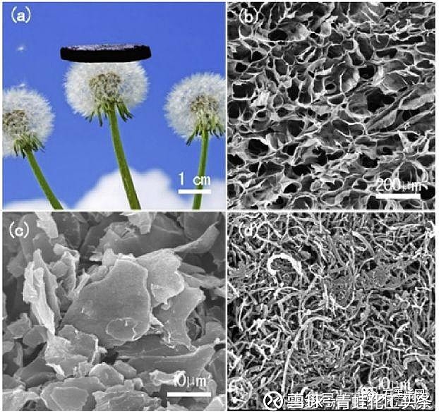 多功能石墨烯碳纳米管气凝胶用于超级电容器和直接甲醇燃料电池