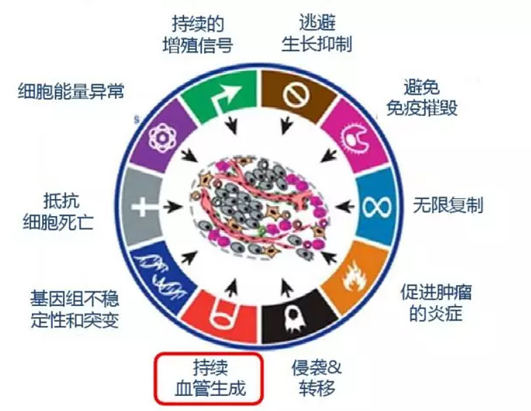 热门靶点的主要分类